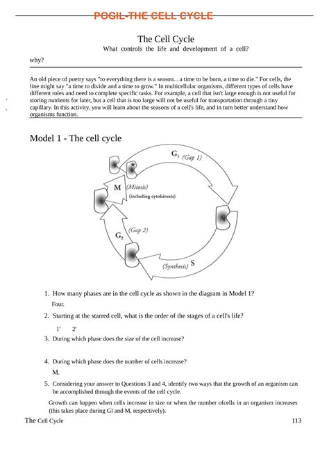 Pogil Cell Cycle Answer Key PDF