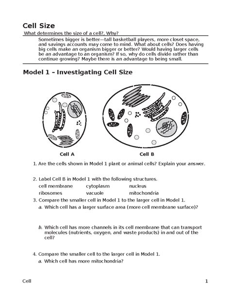 Pogil Cell Size Answer Key Reader