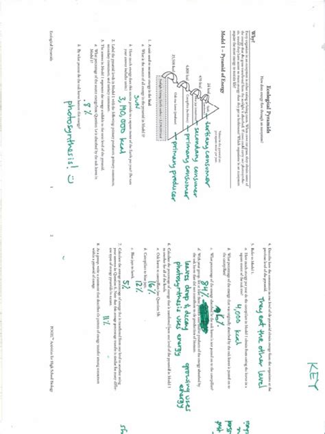 Pogil Ecological Pyramids Answers PDF