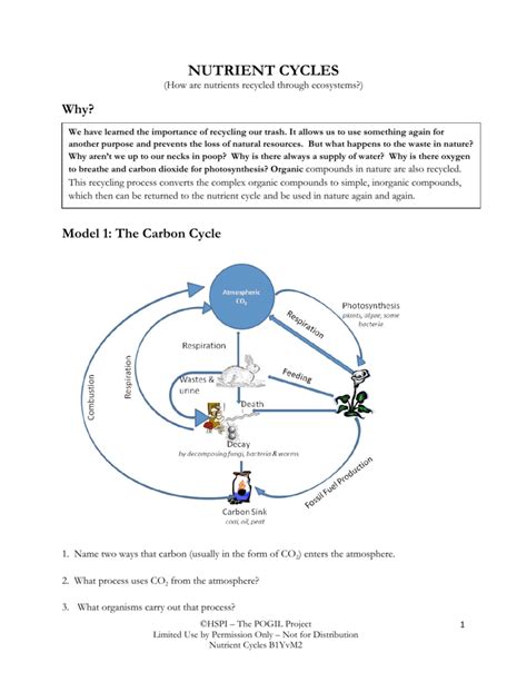 Pogil Nutrient Cycles Packet Answers Doc