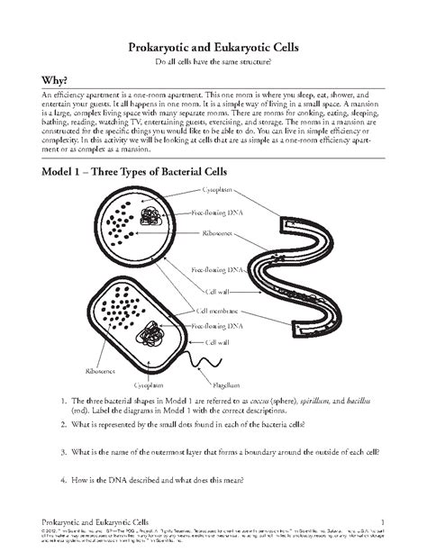 Pogil activities for high school biology answers Ebook PDF