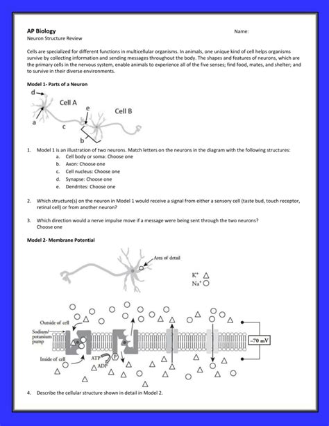 Pogil answer key neuron structure Ebook PDF