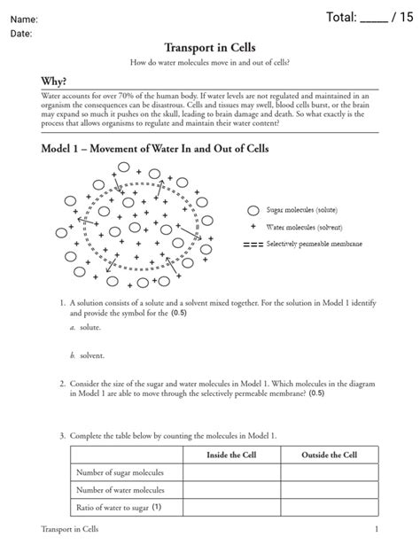 Pogil transport in cells answer key Ebook Reader