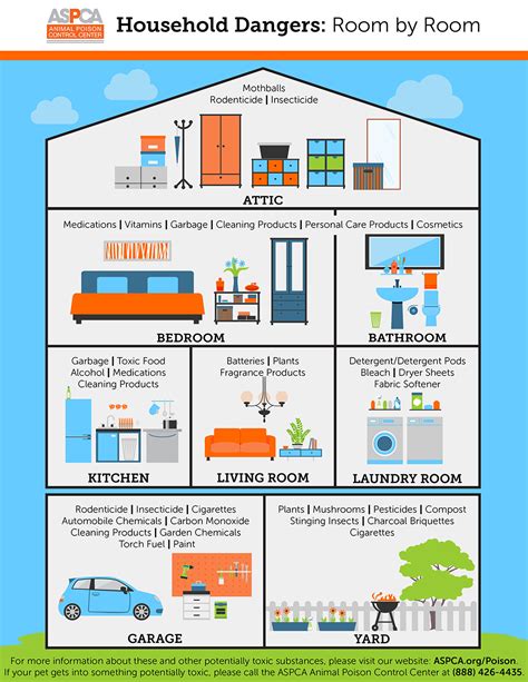 Poisonous Trail Map: Uncover the Hidden Dangers Lurking in Your Home