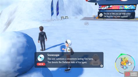 Pokémon Snowscape: Unlocking the Icy Kingdom's Secrets