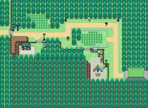 Pokémon White: Route 7: A Journey Through a Verdant Paradise