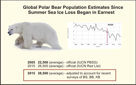 Polar Bear Population Chart