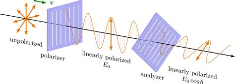 Polarization: