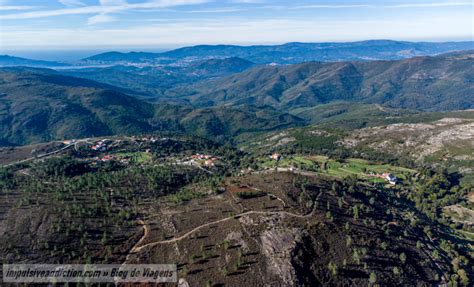 Polen em Portugal: Um Recurso Natural Essencial