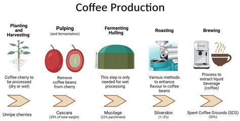 Policies that Promoted Coffee Production