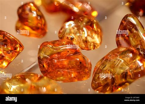 Polished Amber: A Guide to its History and Uses