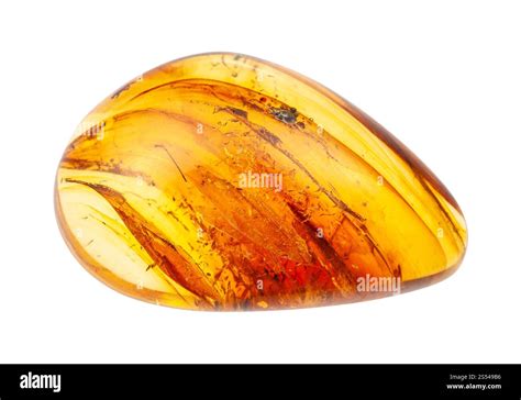 Polished Amber: A Timeless Gem for 2025 and Beyond