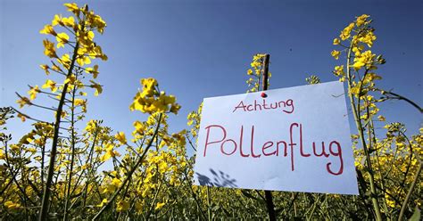 Pollenallergie in Kroatien: So überstehen Sie die Pollensaison