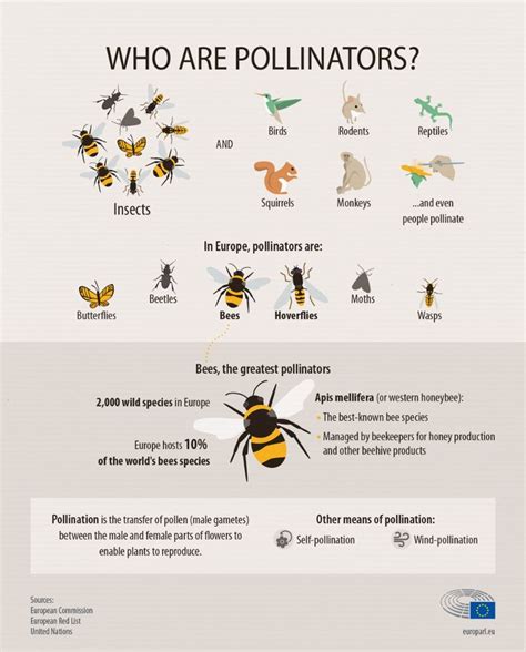 Pollinator Decline Introduction Reader