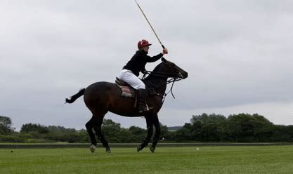 Polo from the 305: A Comprehensive Guide to the Sport and Its Culture