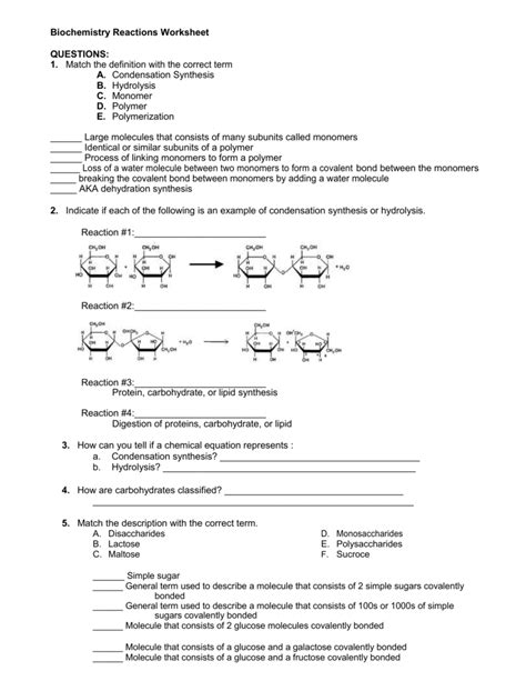 Polymer Basics Answer Key Kindle Editon