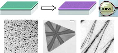 Polymer Films with Embedded Metal Nanoparticles Reader