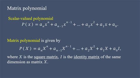 Polynomial and Matrix Computations Doc