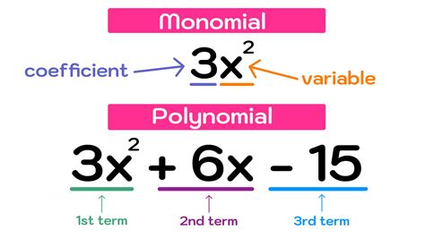 Polynomial factorization