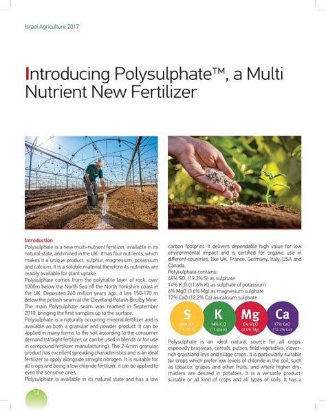 Polysulphate Fertilizer: A Comprehensive Guide to Enhance Soil Health and Crop Productivity