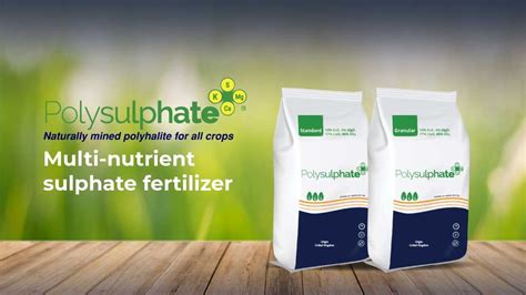 Polysulphate Fertilizer: A Revolution in Sustainable Agriculture