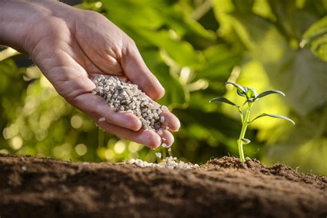 Polysulphate Fertilizer: The Miracle Nutrient for Enhanced Crop Yields