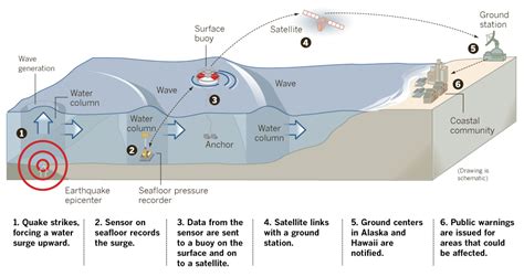 Polytsunamis: Understanding the Devastating Coastal Hazards