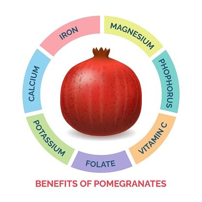 Pomegranates Benefit 37% from Additional Fertilizer to Set Fruit