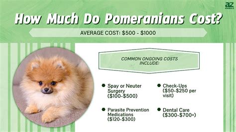 Pomeranian Price Determinants