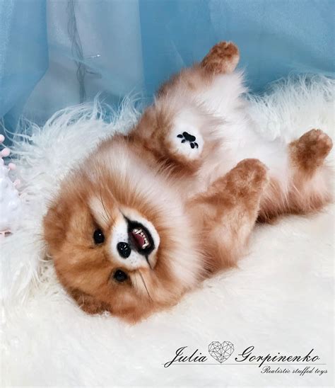 Pomeranian plush toys