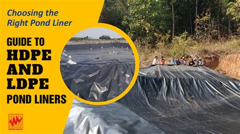 Pond Liners: A Comprehensive Overview