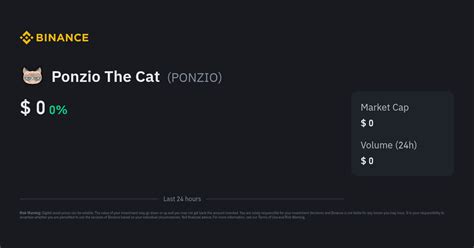 Ponzio the Cat Pool: A Revolutionary Liquidity Pool for Cryptocurrency Traders