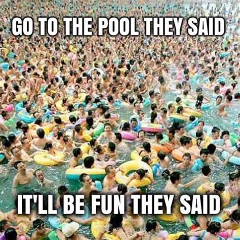 Pool Memes: The Deep End of Internet Humor