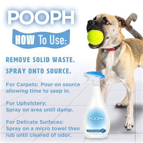 Poop Scoop Wars: Pooph for Pet Socialization and Training