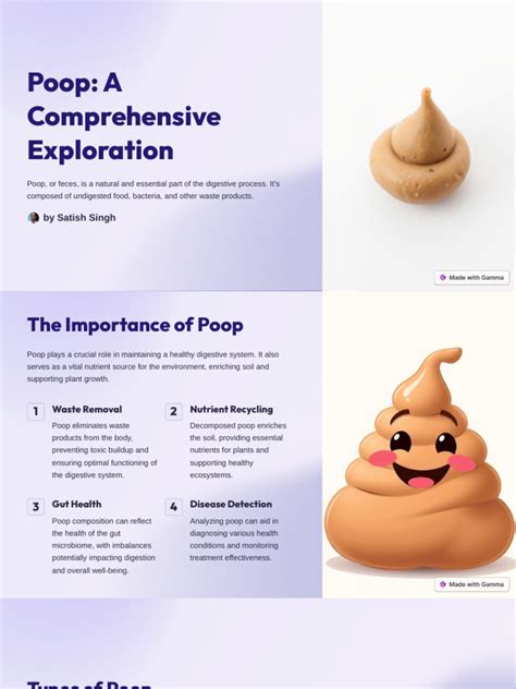 Poop in a Box: A Comprehensive Guide to 10,000 Astonishing Uses