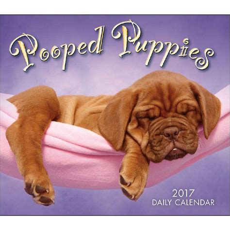 Pooped Puppies Boxed Daily Calendar Reader