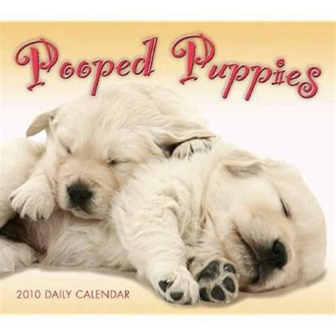 Pooped Puppies Boxed Daily Calendar Reader