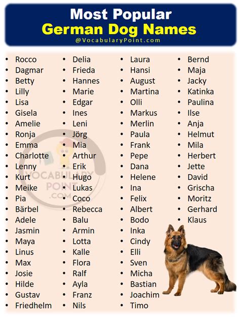 Popular German Puppy Names