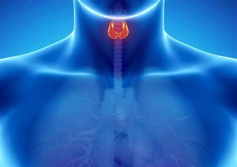 Por Que a Cirurgia da Tireoide É Realizada?