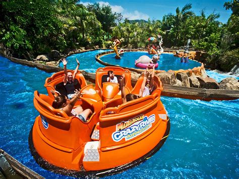 Por que Visitar o Beto Carrero World em 2024?