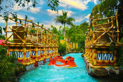 Por que visitar o Beto Carrero World importa?