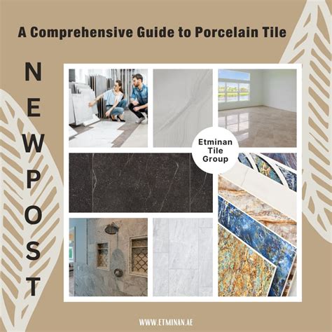 Porcelain SSBWW: A Comprehensive Guide to the Versatile Material