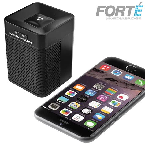 Portable Bluetooth Speaker Rear Firing Subwoofer Epub