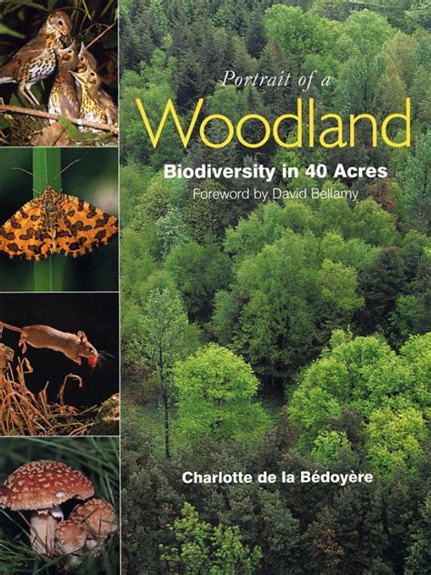 Portrait of a Woodland Biodiversity in 40 Acres Reader