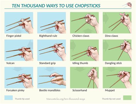 Position the Chopsticks: