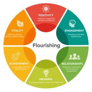 Positive Psychology in Singapore: Unleashing Human Flourishing