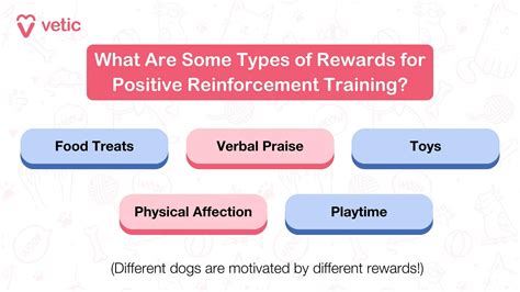 Positive Reinforcement Training: The Power of Reward in 2025