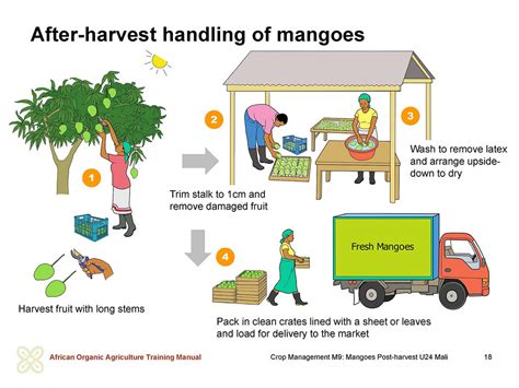 Post Harvest Handling of Fruits Reader