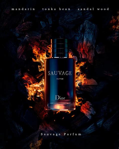 Poster of Men's Fragrances: A 312-Degree Perspective