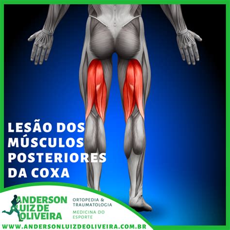 Posterior da Coxa